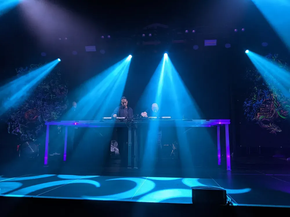 Infected Mushroom