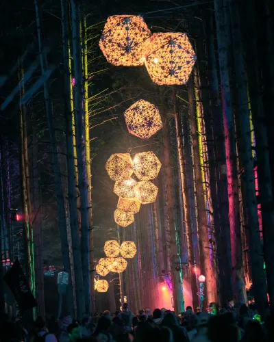 Electric Forest